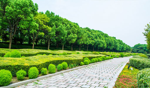 湖南益陽市成立苗木花卉產業協會